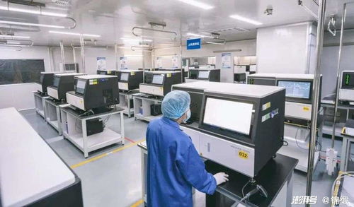 破局生命科学前沿 中国如何以机电科技之翼驱动精尖设备自主创新